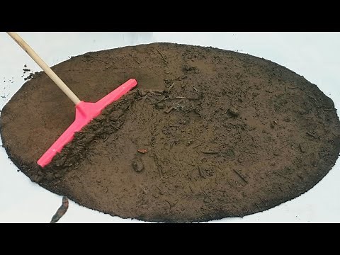 You Wont Believe The Pattern That's Under This Filthy Rug - Carpet Cleaning Satisfying(ASMR)
