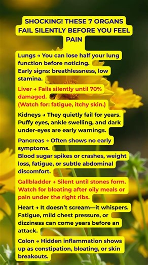 These 7 Organs Can Fail Without Pain — Early Signs After 60