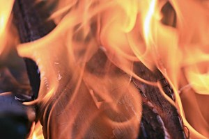 Prevent Christmas Tree Catastrophes With Must-Know Safety Tips