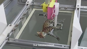 1.7K reactions · 1.4K shares | This video shows computational hydrographic printing, a new method (created by a team at Colombia University) which inherits the versatility of traditional hydrographic printing, while also enabling precise alignment of surface textures to possibly complex 3D surfaces. h/t: https://www.youtube.com/user/microfacet | Inverse | Facebook