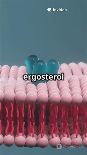 Clotrimazole The Rice Savior! Cytoplasm #CellBiology #CellStructure