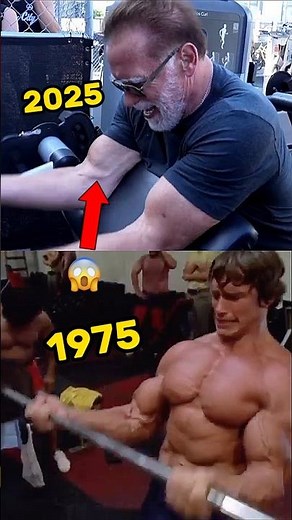 Arnold’s Legendary Bicep Curls 💪