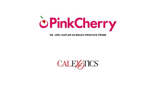 Dr. Joel Kaplan EZ-Reach Prostate Probe