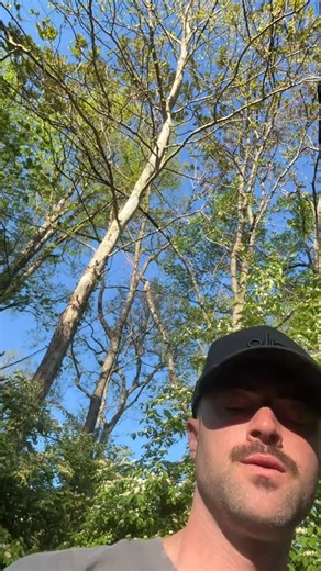 Hope this helps | Gutter Spice