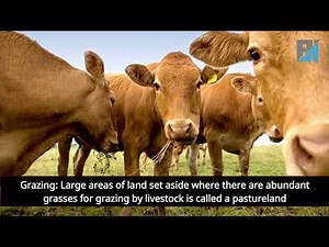 LAND AND ITS USES