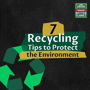 Here are seven recycling tips that you can apply to do your part to protect the environment. For more content go to newsweek.com/better-planet. | Newsweek | Facebook