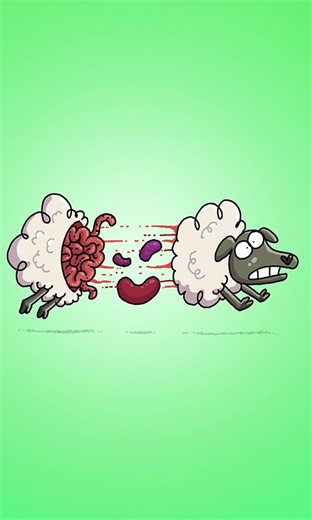 The fastest way to fall asleep #animation #comedyreels #memes #cartoonbox | Cartoon-Box