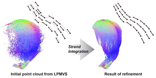 Refinement of Hair Geometry by Strand Integration