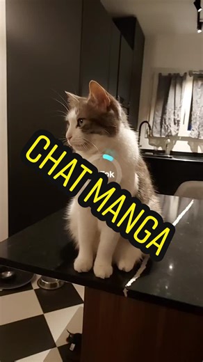 mon chat est donc humain 😱😱😱 #isekai #transformation #otaku #video #viralvideo #viral #treanding #trend #trending #fypシ #foryoupage #foryou #fyp #fy #manga #chat #neko #cat #cute #funny #funnyvideos #fun #funnyvideo #🤣🤣🤣 #😱