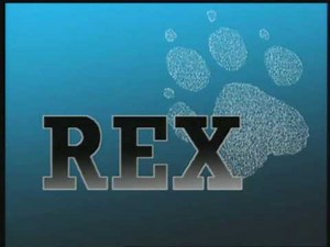 Rex chien flic ♫ - "Rexthema" - Attack