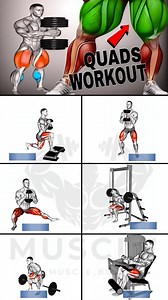 32K views · 230 reactions | Advanced Leg Mechanics: A Collection of...