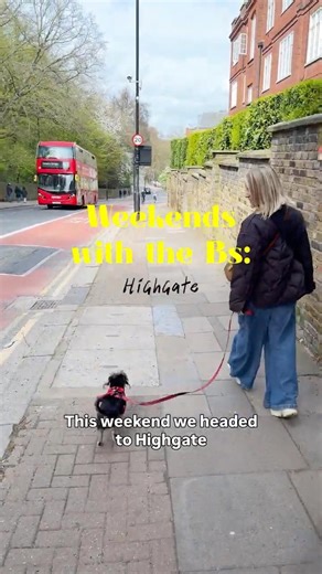 Exploring Highgate with Our Dogs | London Feels Like a Village?!