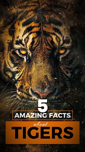 14K views · 57 reactions | Never Stop Learning on Reels | Facebook