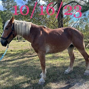 176 reactions · 15 shares | "5 months of Queen’s Journey…5 months of...