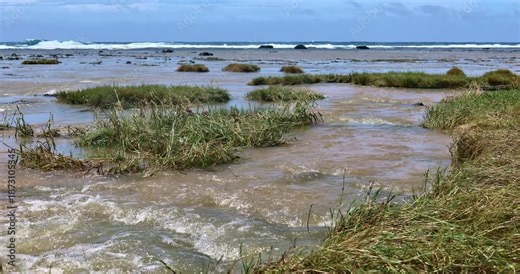The turbulent currents at the mouth of the intertidal zone in Okinawa, Japan.