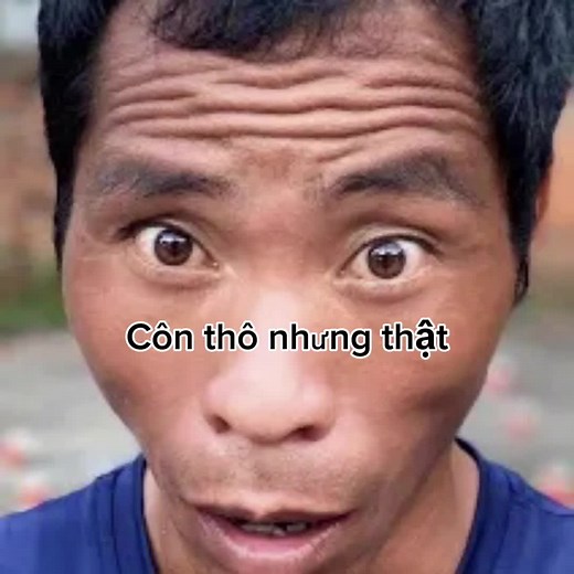Phương Hữu Dưỡng và Côn Tiền Đình: Meme và Contiendinh