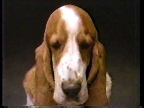Hush Puppies Sleepy Dog Commercial from 1989