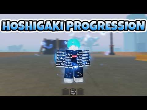 HOSHIGAKI PROGRESSION FULL SHOWCASE ( Shinden )
