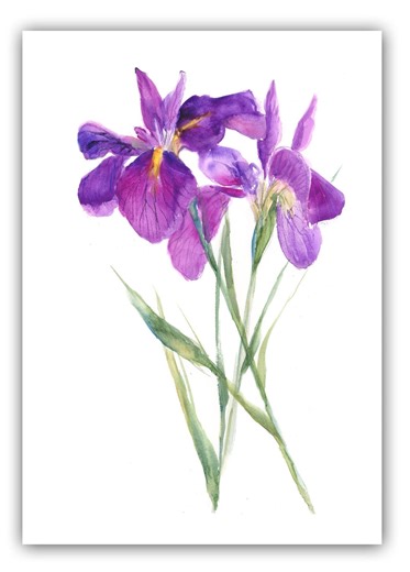 Purple Iris Floral Notecards, Iris Note Cards- Floral Lovers Card- Botanical Cards- Watercolor Floral Card- Floral Thank You Cards - Etsy