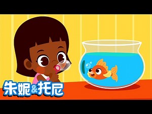 Learn Animals | Kids Song in Chinese | 我的动物朋友 | 幼儿园动物儿歌 | 朱妮托尼