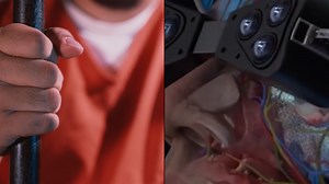 Scientist teases virtual prison where individuals can serve decades in only a few real life minutes