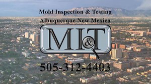 Mold Inspection & Testing Albuquerque New Mexico