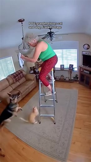 Mr Funny (@mrfunny283)’s videos with original sound - Mr Funny