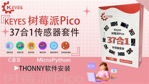 Thonny IDE的安装与配置