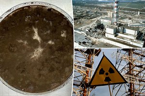 Strange Chernobyl dark fungus may ‘eat’ radiation and even help astronauts in space