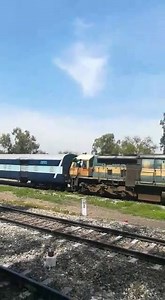 Indian Railways at your service 24/7 : A Parcel Special train carrying 390 ton essential food items like branded Dairy products & noodles in 20 parcel vans departed today from Moga (Punjab) to Changsari (Assam). #IndiaFightsCorona | Ministry of Railways, Government of India