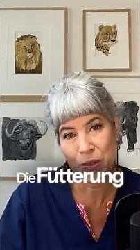 🐱🌿 Wurmfrei ohne Chemie: So stärkst du die Darmflora deiner Katze! #Katzenpflege#entwurmung