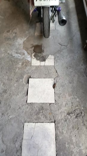 Sana all gaya mo mam😁 | Patrick Cruz