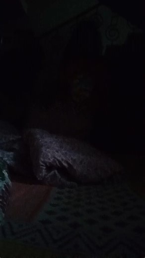 life with bris 🕊️🌷(18/100)#minivlog #ytshorts #shorts