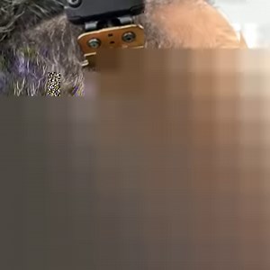 52K views · 139 reactions | Seriously satisfying is an understatement.  Watch #ANDIS Educator @successaddict mow through hair e a s i l y with the GTX-EXO Trimmer. ⚔️ #CREATEYOURWAY #ANDIS bit.ly/AndisGTX-EXO | Andis Company | Facebook