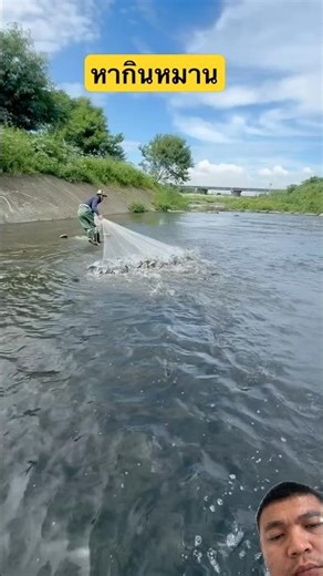 Making a living by casting a net #fishing #viral #youtubeshorts #shortvideo #shorts #shortsfeed #...