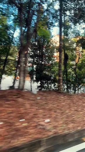 5.2K views · 92 reactions | While Awana SkyWay is closed for scheduled maintenance, our Genting SkyWay is open to take you up to the peak of Genting Highlands.  Located at Gohtong Jaya, the journey onboard Genting SkyWay will amaze you with breathtaking views of the forest and clouds. 朗 #GentingSkyWay #ResortsWorldGenting | Resorts World Genting | Facebook