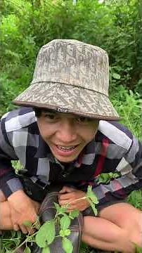 Ninja cùi #haihuoc #giaitri