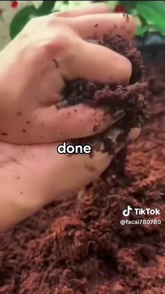 Engaging Texting Stories to Enhance Your Rizz