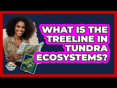 What Is The Treeline In Tundra Ecosystems? - The Geography Atlas