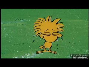 Woodstock Crying And Snoopy Happy Sigh