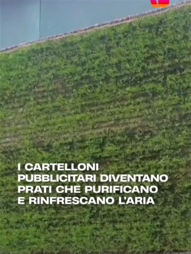 Il Regno Unito è uno dei paesi con la biodiversità più impoverita al mondo, con quasi una specie su sei minacciata di estinzione e il 41% degli insetti a rischio. Questo declino è aggravato dalla perdita di habitat dovuta anche al consumo di suolo, con il 97% dei prati fioriti selvatici ormai scomparsi. Per non parlare degli impollinatori, un rapporto del British Trust for Ornithology indica che l'80% delle specie di farfalle nel Regno Unito sono diminuite dagli anni '70, e metà delle rimanenti 
