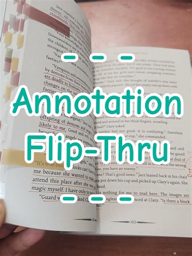 Annotation Flip-thru #booktok #annotate #annotation #annotatedbooks #booktabbing