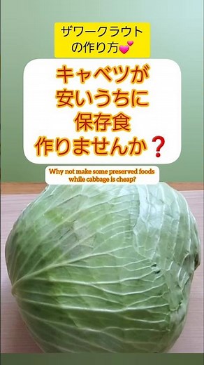 【Shorts動画】★ビタミン不足の強い味方★ザワークラウトの作り方【Packed with Vitamins How to Make Sauerkraut】#Shorts #保存食 #キャベツ