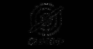 Design Build Fly 2021