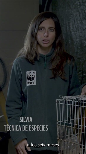 CIERRE DE LAS GRANJAS DE VISÓN - WWF 2
