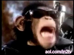 Badges, We Don't Need No Stinking Badges