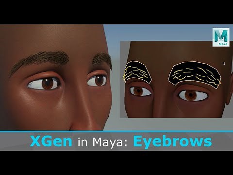 Create Eyebrows in Maya using XGen