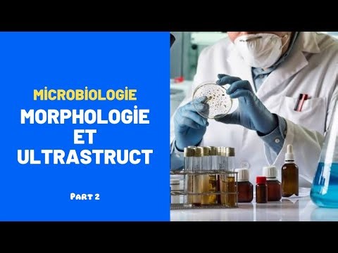 Morphologie et Ultrastructure de la Procaryote:( La Paroi et les Barrières Externes)