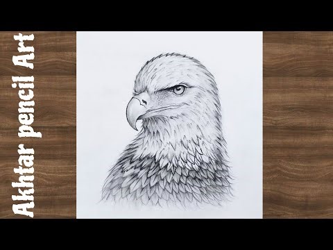 Eagle Face Drawing Tutorial Easy , How To Draw A Half Eagle Drawing Easy Step By Step