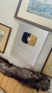 31K views · 76 reactions | Live video on Reels | Facebook